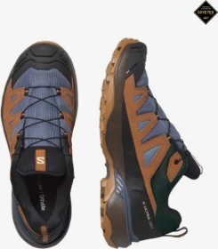 Salomon X Ultra 360 Leather GTX grisaille/caramel cafe/marmalade (Herren)