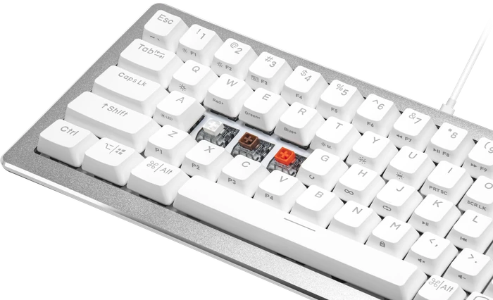 Cooler Master CK720, LEDs RGB, hot-swap, silber/weiß, Kailh Box V2 RED, USB, US