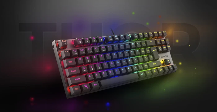 Genesis Thor 303 TKL, schwarz, LEDs RGB, hot-swap, Gaote Outemu BROWN, USB, DE