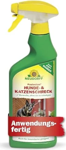 buchweizen saatgut Saatgut Buchweizen – FairSaat main image 0