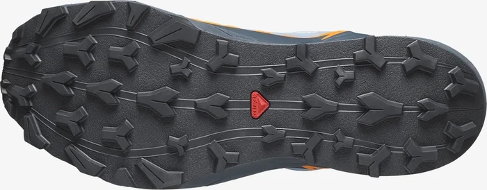 Salomon Thundercross GTX flint stone/carbon/orange pepper (Herren)