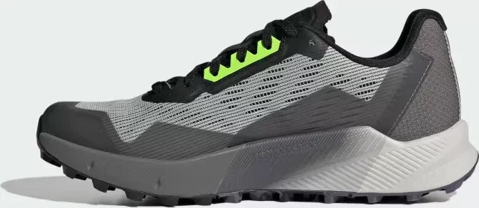adidas Terrex Agravic Flow 2.0 GTX wonder silver/crystal white/lucid lemon (Damen)