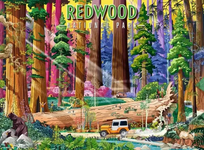 Ravensburger Redwood Nationalpark