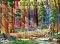 Ravensburger Redwood Nationalpark Vorschaubild