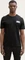 Tom Tailor Basic mit Logo-Print T-Shirt kurzarm almost black (Herren) Vorschaubild