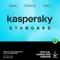 Kaspersky Lab Standard Vorschaubild