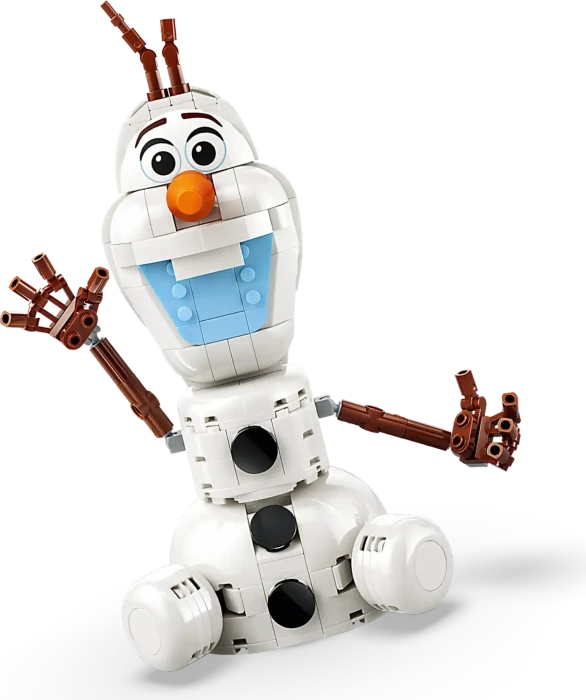 LEGO Disney - Picknickspaß mit Olaf und Bruni
