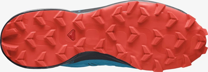Salomon Speedcross 5 GTX hawaiian ocean/night sky/cherry tomato (Herren)