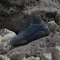 adidas Eastrail 2.0 Mid Rain.RDY wonder steel/shadow navy/semi lucid blue (Herren) Vorschaubild
