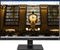 LG 25BL55WY-B, 24.95" Vorschaubild