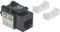 Intellinet Keystone Modul RJ-45 Buchse via Verlegekabel Cat6, schwarz Vorschaubild