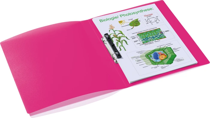 Herma Ringbuch 2-Ring, 25mm, A4, pink/transparent, 3er-Pack
