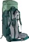 Deuter Aircontact Lite 60+10 SL aloe/forest (Damen) Vorschaubild