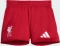 adidas Liverpool FC 2025/2026 Heimausrüstung (Junior) Vorschaubild