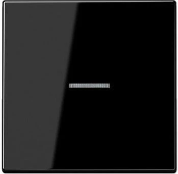 Jung Serie LS Wippe mit Lichtleiter für Taster 1fach, schwarz