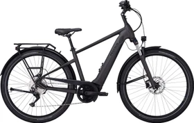 Pegasus Savino Evo 10 CX 625Wh grey matt Modell 2022 (Herren)