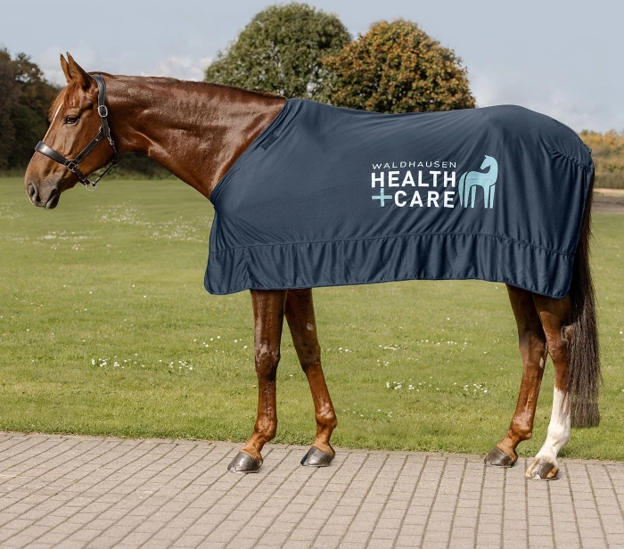 Waldhausen Health + Care Ice-Layer Decke Kühldecke, 115cm, Nachtblau