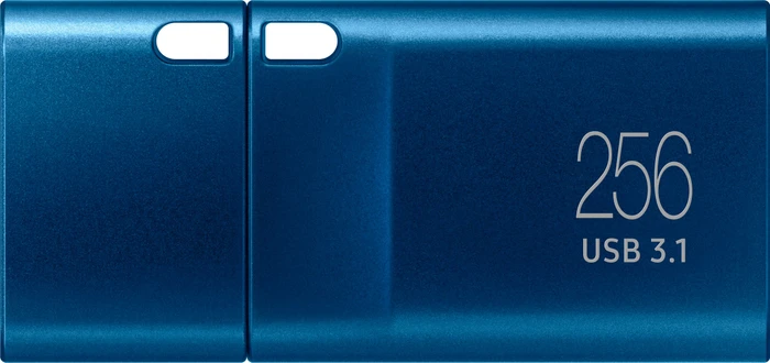 Samsung USB Flash Drive Type-C 256GB blau, USB-C, USB 3.2 Gen 1×1