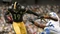 EA Sports Madden NFL 20 (Xbox One/SX) Vorschaubild