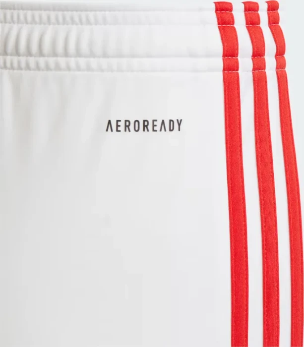 adidas 1. FC Union Berlin 2023/2024 Heimshorts (Herren)