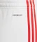 adidas 1. FC Union Berlin 2023/2024 Heimshorts (Herren) Vorschaubild