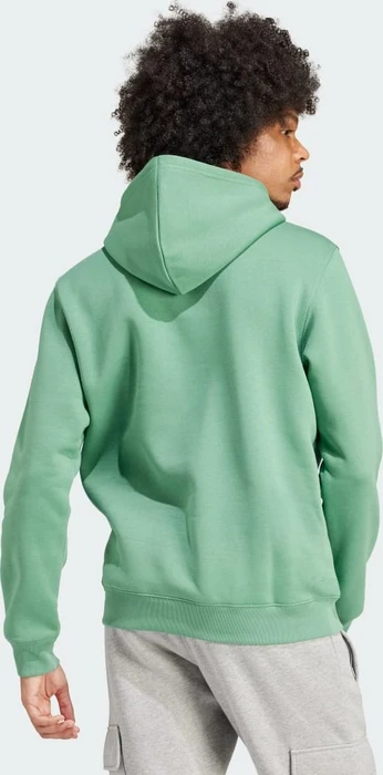 adidas Trefoil Essentials Hoodie preloved green (Herren)