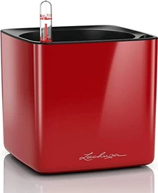 Lechuza Cube Glossy 14 scarlet rot hochglanz