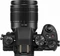 Panasonic Lumix DMC-G81 mit Objektiv Lumix G Vario 12-60mm 3.5-5.6 ASPH Power OIS und Lumix G Vario 45-200mm 4.0-5.6 OIS Vorschaubild