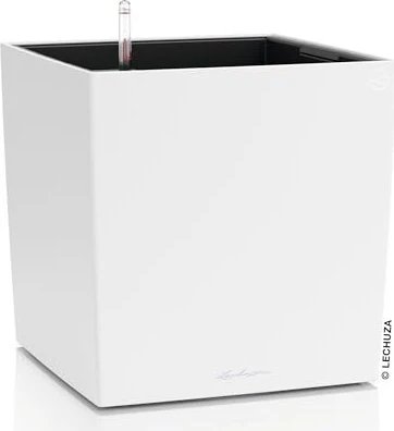 Lechuza Cube Color 40