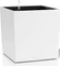 Lechuza Cube Color 40 Vorschaubild