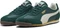 Puma Arizona Nylon dark myrtle/warm white Vorschaubild