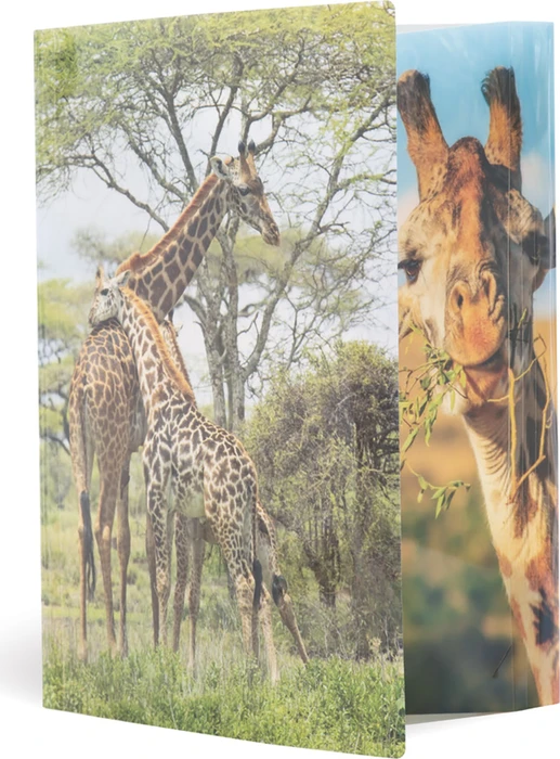 Herma Glossy Tiere Sammelmappe, A4, Giraffe