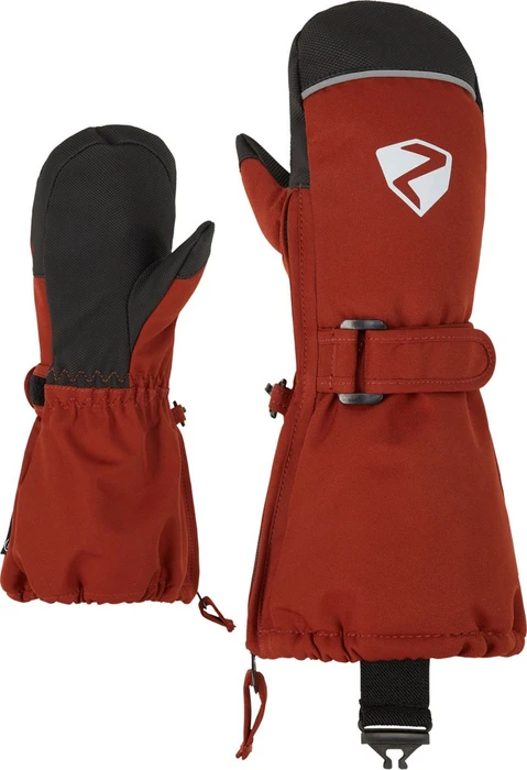 Ziener Lanup AS AW Skihandschuhe (Junior)