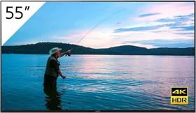 Sony FWD-55X95H/T, 55"