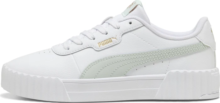 Puma Carina 3.0