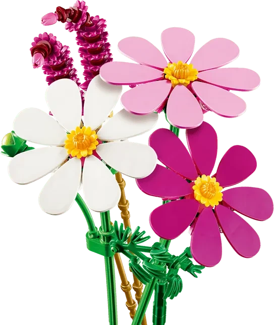 LEGO Botanicals - Kosmeen