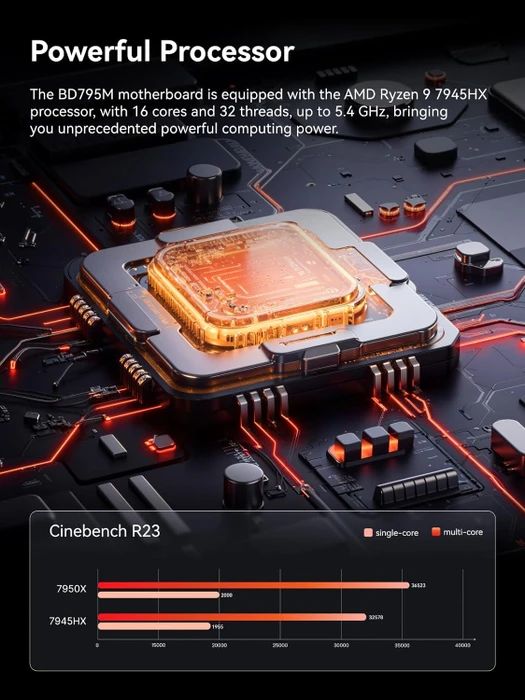 Minisforum BD795M