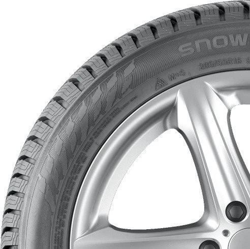 Nokian WR Snowproof 1