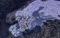 Europa Universalis IV - Common Sense (Download) (Add-on) (PC) Vorschaubild