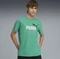 Puma Essentials 2 Colour No. 1 Logo T-Shirt kurzarm vibrant green (Herren) Vorschaubild