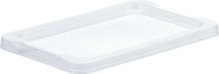 Rotho Evo Easy Storage Deckel für Aufbewahrungsbox, 4l, transparent/transparent