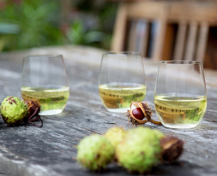 Riedel The O Wine Tumbler Viognier/Chardonnayglas, 2 Stück