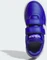 adidas Hoops royal blue/cloud white/orbit grey (Junior) Vorschaubild