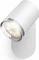Philips Hue White Ambiance Adore Spot 1-flammig weiß Vorschaubild