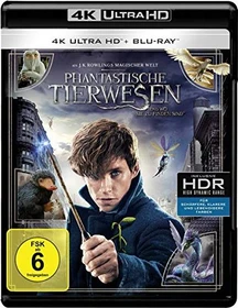 Phantastische Tierwesen und wo sie zu finden sind (4K Ultra HD)
