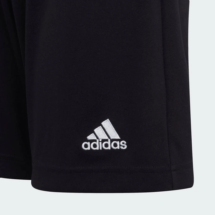 adidas Entrada 22 Shorts schwarz (Junior)