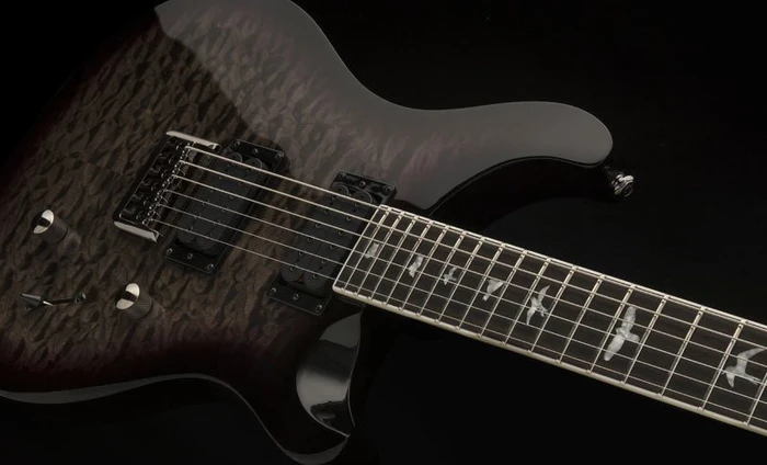 PRS SE Mark Holcomb (ältere Modelle)