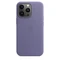 Apple Leder Case mit MagSafe für iPhone 13 Pro Vorschaubild