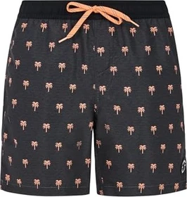 Protest Parco Badeshorts deep grey (Herren)