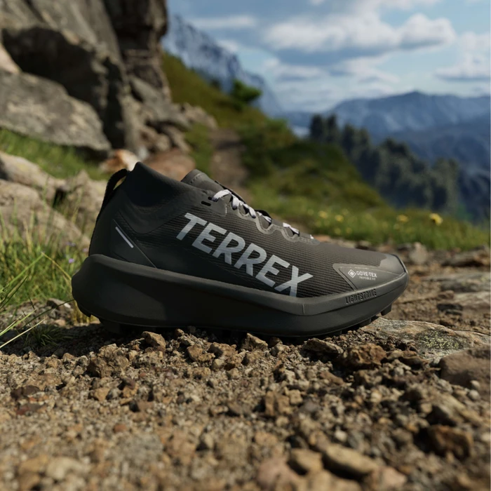 adidas Terrex Agravic GTX Trail core black/silver dawn/grey two (Damen)